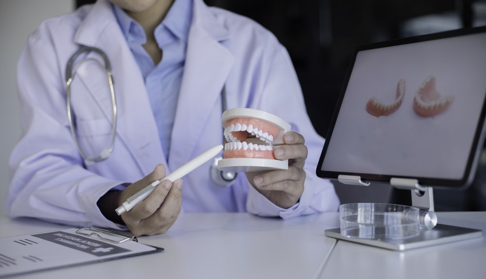 Dentist explaining tooth structure and insurance coverage using a model